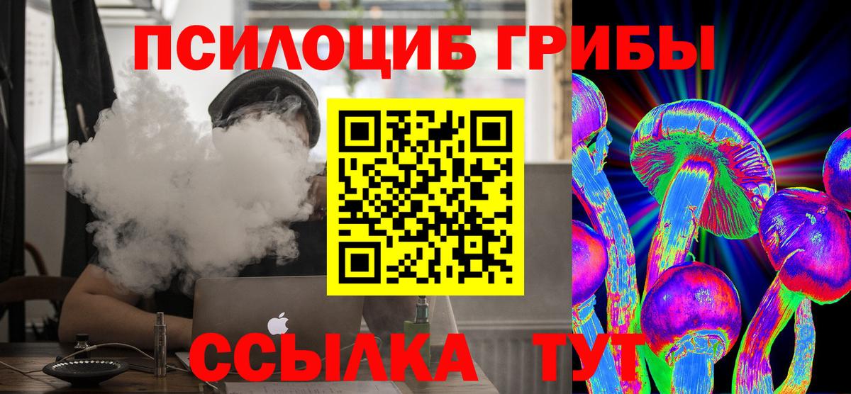 Псилоцибиновые грибы GOLDEN TEACHER  Псилоцибиновые грибы прущие грибы  Вход с VPN  Челябинск 
